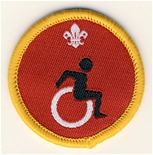 Cub Disability Awareness