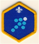 Cub Team Leader Challenge