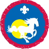 Scout Equestrian