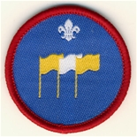 Scout International