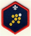 Scout Team Leader Challenge