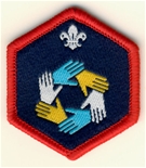 Scout Teamwork Challenge